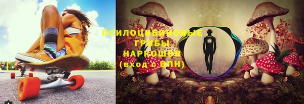 таблы Дмитровск